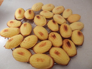 madeleine